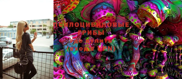 PSILOCYBIN Каменногорск