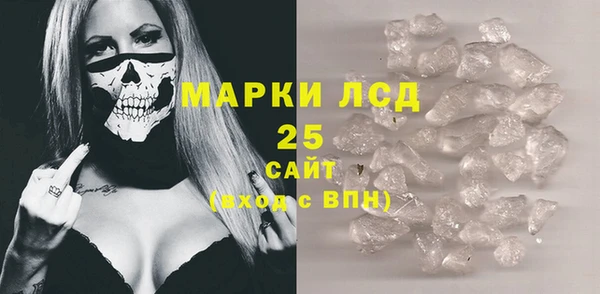 PSILOCYBIN Каменногорск