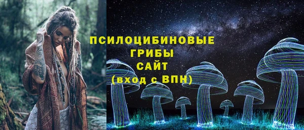 ALPHA PVP Каменск-Шахтинский