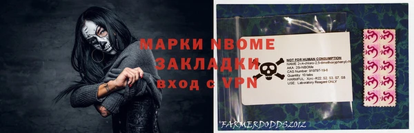 ПСИЛОЦИБИНОВЫЕ ГРИБЫ Каменка