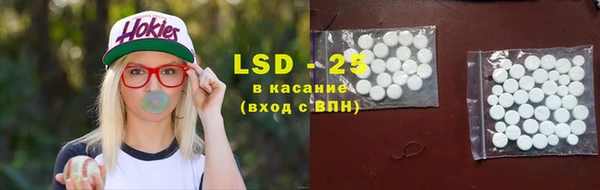 ПСИЛОЦИБИНОВЫЕ ГРИБЫ Каменка