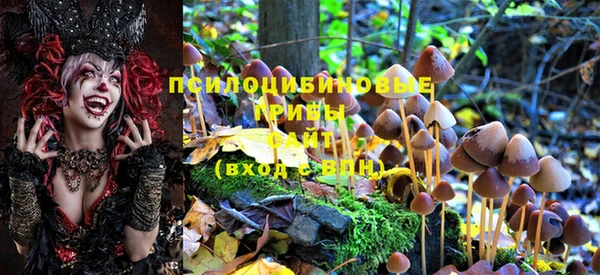 ПСИЛОЦИБИНОВЫЕ ГРИБЫ Каменка