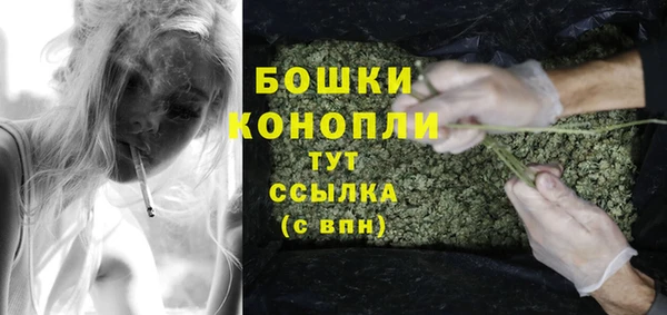 PSILOCYBIN Каменногорск