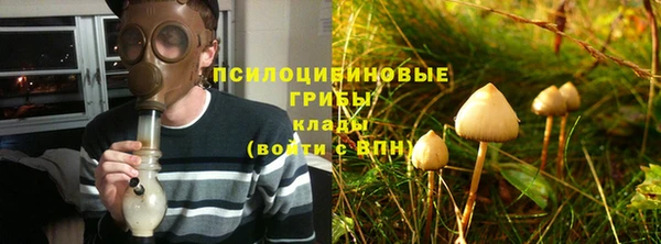 ALPHA PVP Каменск-Шахтинский