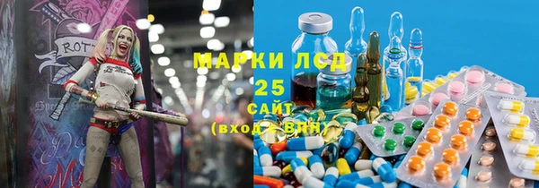 PSILOCYBIN Каменногорск