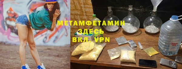 PSILOCYBIN Каменногорск