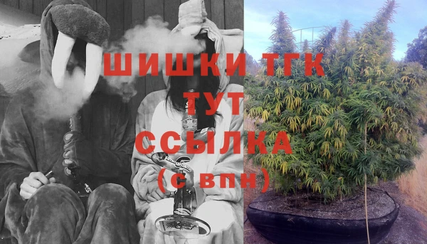 ПСИЛОЦИБИНОВЫЕ ГРИБЫ Каменка