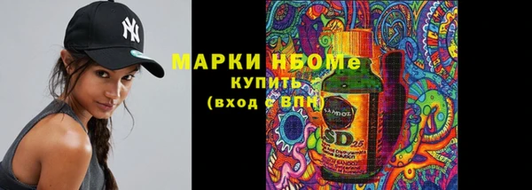 ПСИЛОЦИБИНОВЫЕ ГРИБЫ Каменка