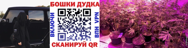 МАРИХУАНА Amnesia  Любим 
